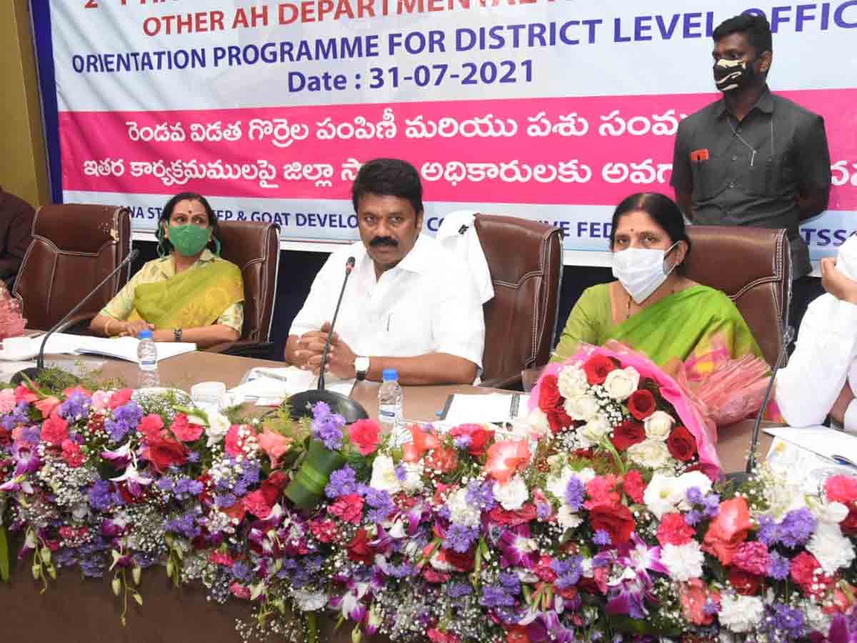 గ్రామీణ ఆర్థిక వ్యవస్థ బలోపేతమే సీఎం కేసీఆర్‌ లక్ష్యం : మంత్రి తలసాని