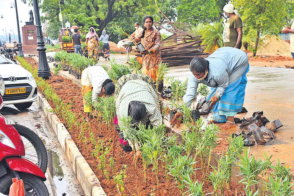 600 కేంద్రాల్లో ఉచిత మొక్కలు