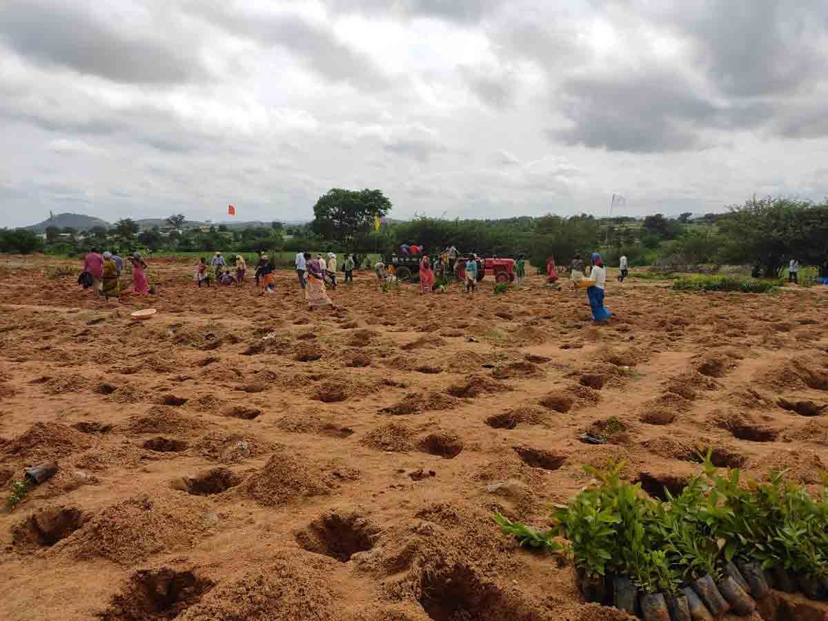ముక్కోటి వృక్షార్చ‌న‌కు ఏర్పాట్లు పూర్తి