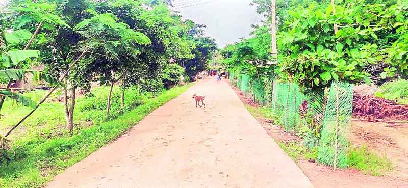 బుచ్చిరెడ్డిపల్లిలో సరికొత్త వెలుగు