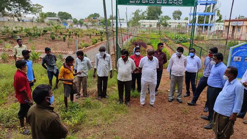 పల్లె ప్రకృతి వనాలు అద్భుతం