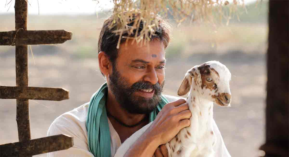 Narappa Review : రొటీన్‌ రీమేక్‌..