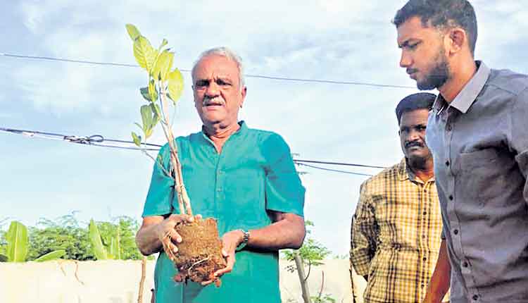 గ్రీన్‌ చాలెంజ్‌లో సీపీఐ నారాయణ