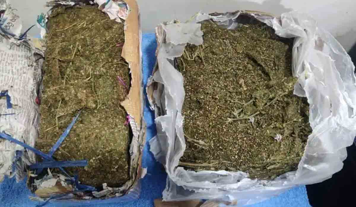 చెన్నై విమానాశ్రయంలో భారీగా మాదకద్రవ్యాలు పట్టివేత