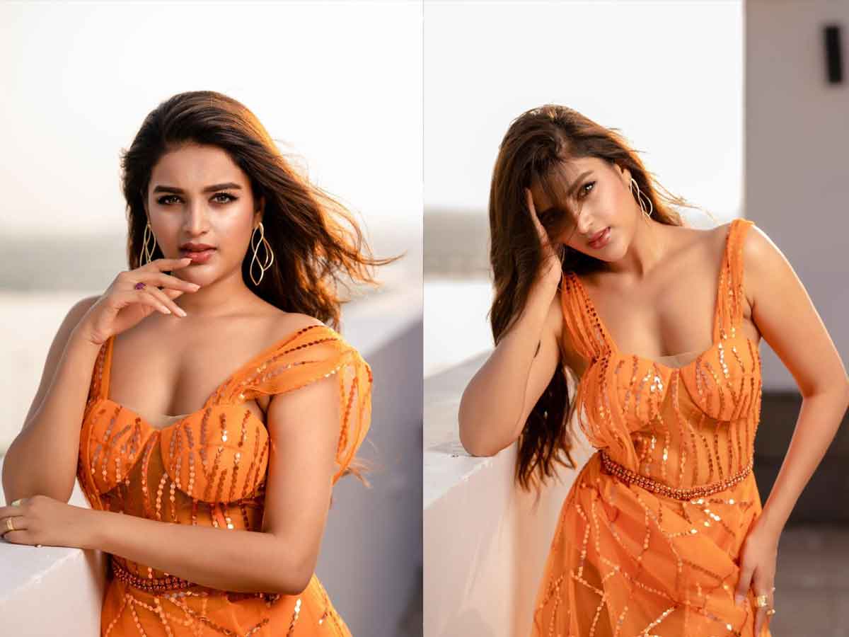 కైపెక్కించే చూపుల‌తో కేక పెట్టిస్తున్న అందాల నిధి