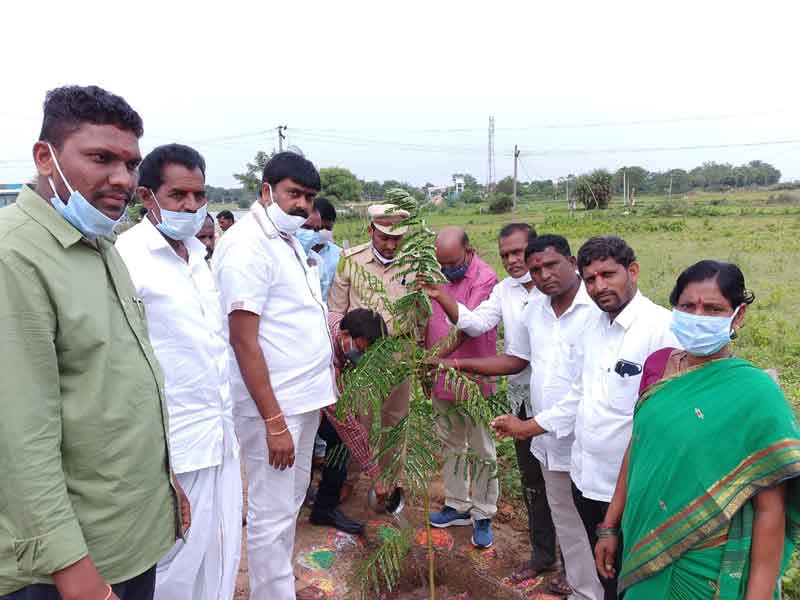 ‘పల్లె ప్రగతి’ పకడ్బందీగా నిర్వహించాలి