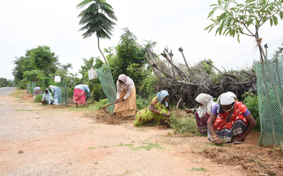 ప్రగతి జాతర