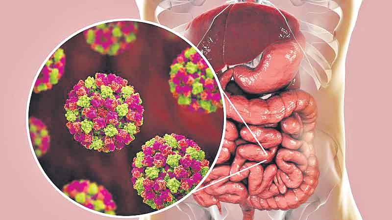 బ్రిటన్‌లో మరో వైరస్‌