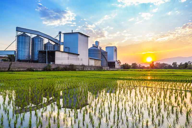 రైస్‌ మిల్లులకే ఆదరణ!