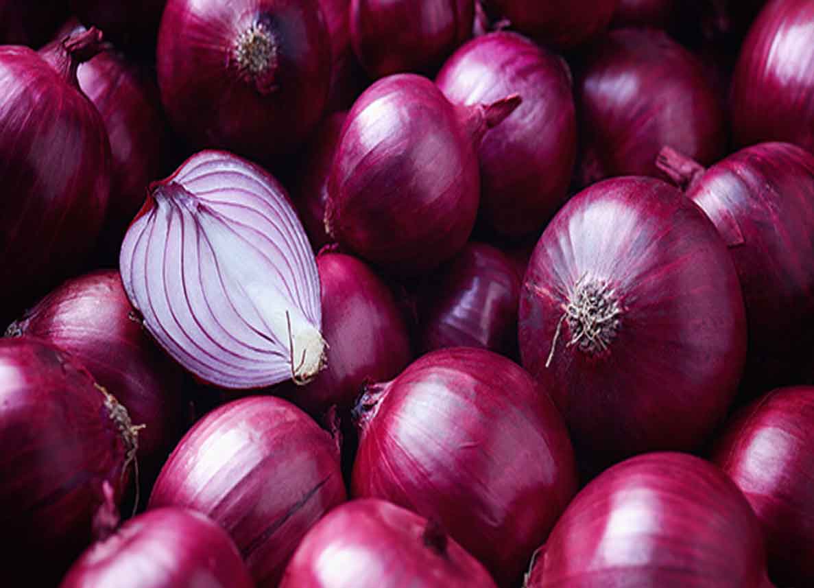 ప్రతిరోజూ ఇది తింటే హై షుగర్ దెబ్బకు దిగొస్తుంది…