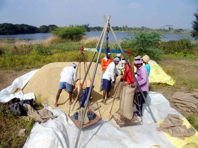 ధాన్యం సేకరణలో తెలంగాణ రికార్డు