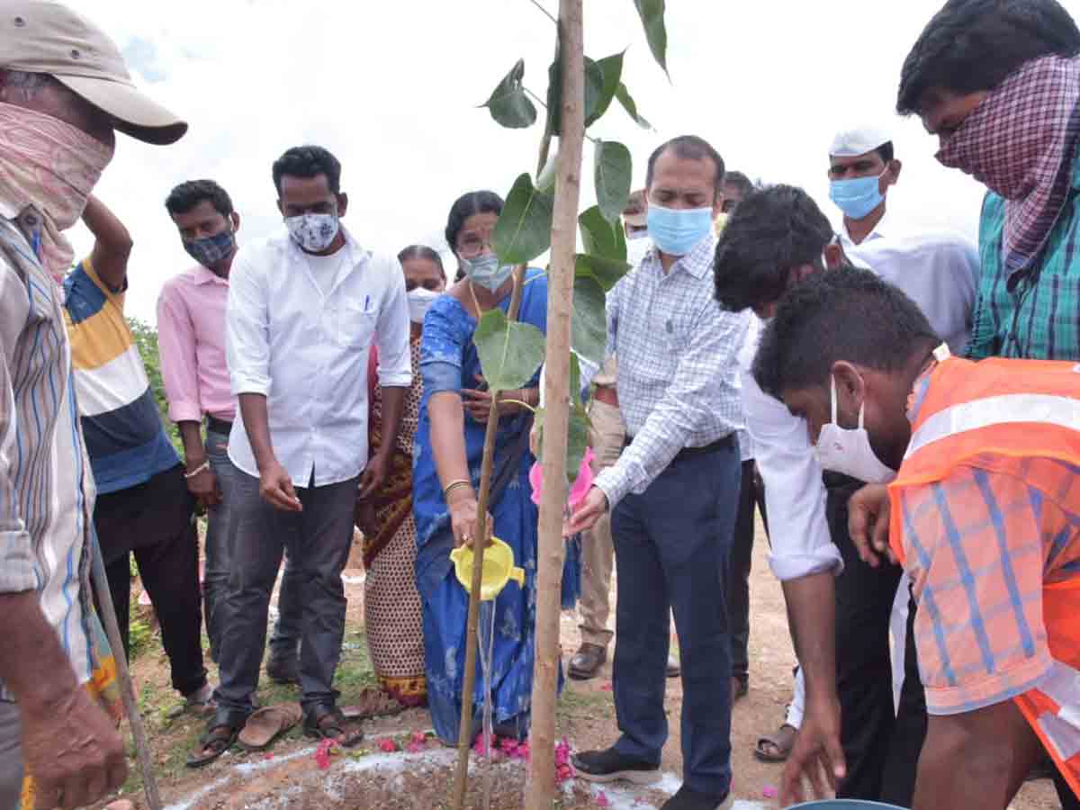 నాటిన మొక్కలను సంరక్షించాలి : న‌ల్ల‌గొండ‌ కలెక్టర్