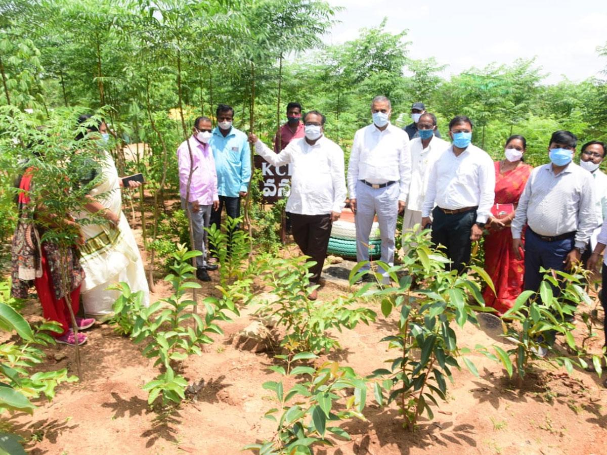 పల్లెప్రగతితో గ్రామాల రూపురేఖలు మార్చాలి