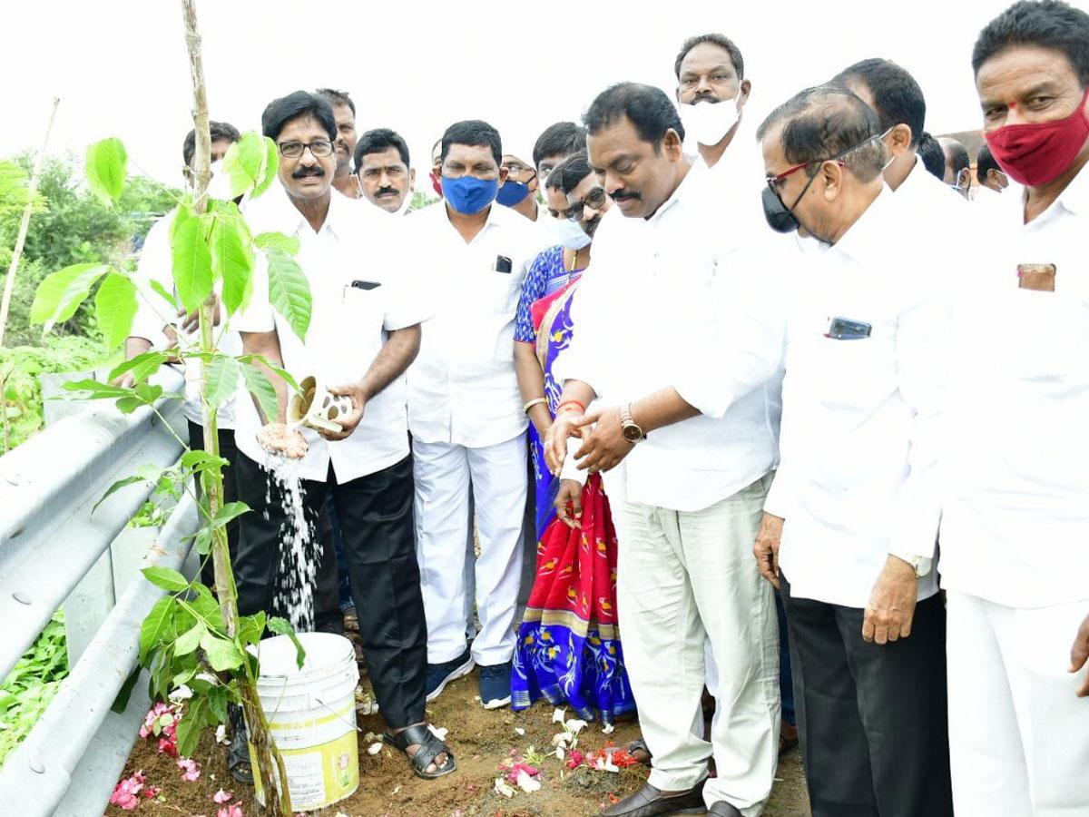 సమస్త జీవకోటికి మొక్కలే ప్రాణాధారం