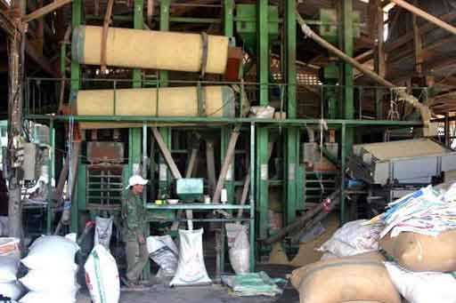 రా రైస్‌ మిల్లులు రావాలి