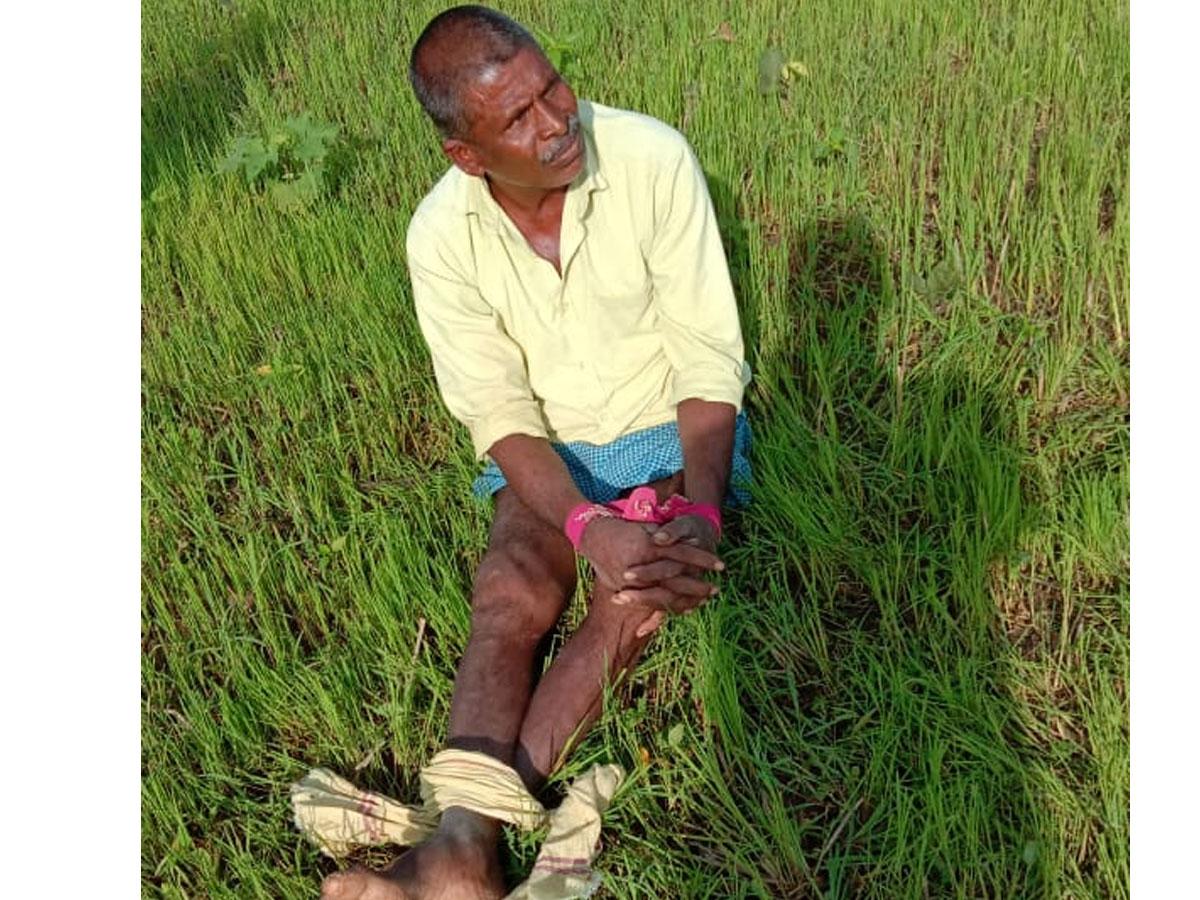 అక్రమంగా పట్టా చేసుకున్నాడని.. పంట పొలంలోనే కట్టేశారు