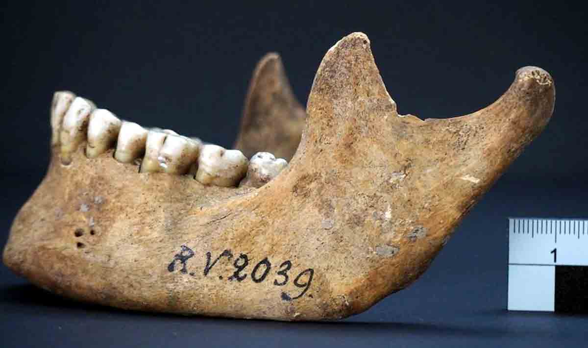 ఐదు వేల ఏండ్ల క్రిత‌మే ప్ర‌పంచానికి వ‌ణికించిన మ‌హ‌మ్మారి.. వెలుగులోకి సంచ‌ల‌న నిజాలు