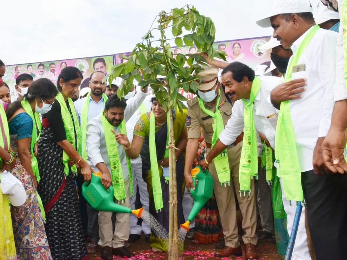 మొక్కల సంరక్షణ బాధ్యత స్థానిక సంస్థలదే