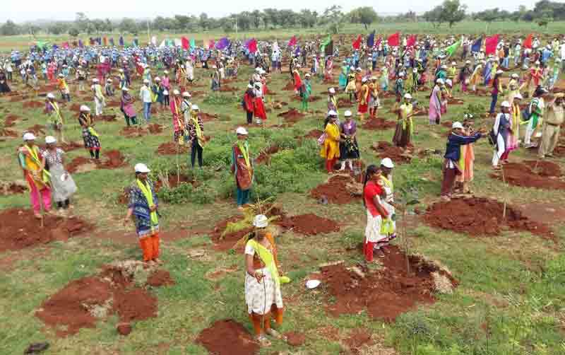 హరిత వందనం