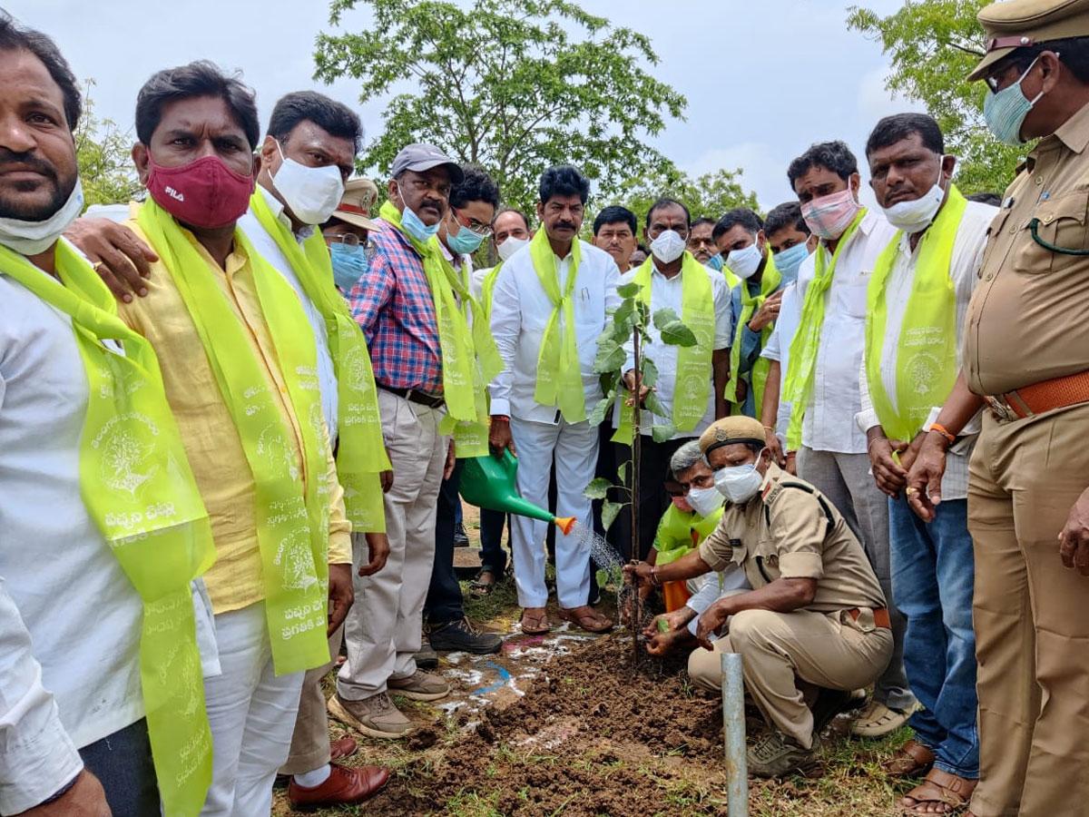 తెలంగాణకు మణిహారం హరితహారం