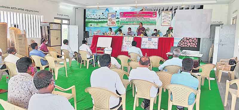 రైతుకు లాభం.. వ్యాపార కోణం