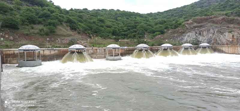 ఎదురెక్కివస్తున్న గోదారి