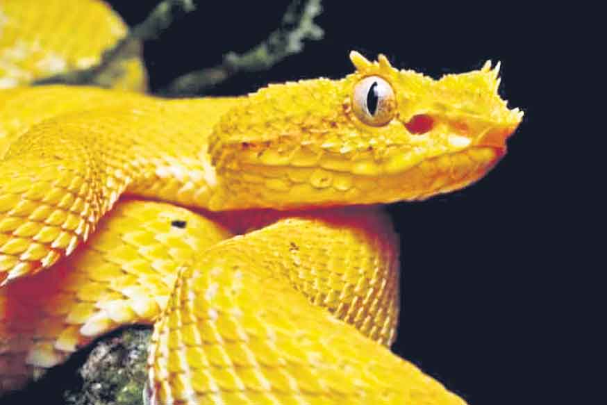 కారుతున్న రక్తాన్ని చిటికెలో ఆపొచ్చు