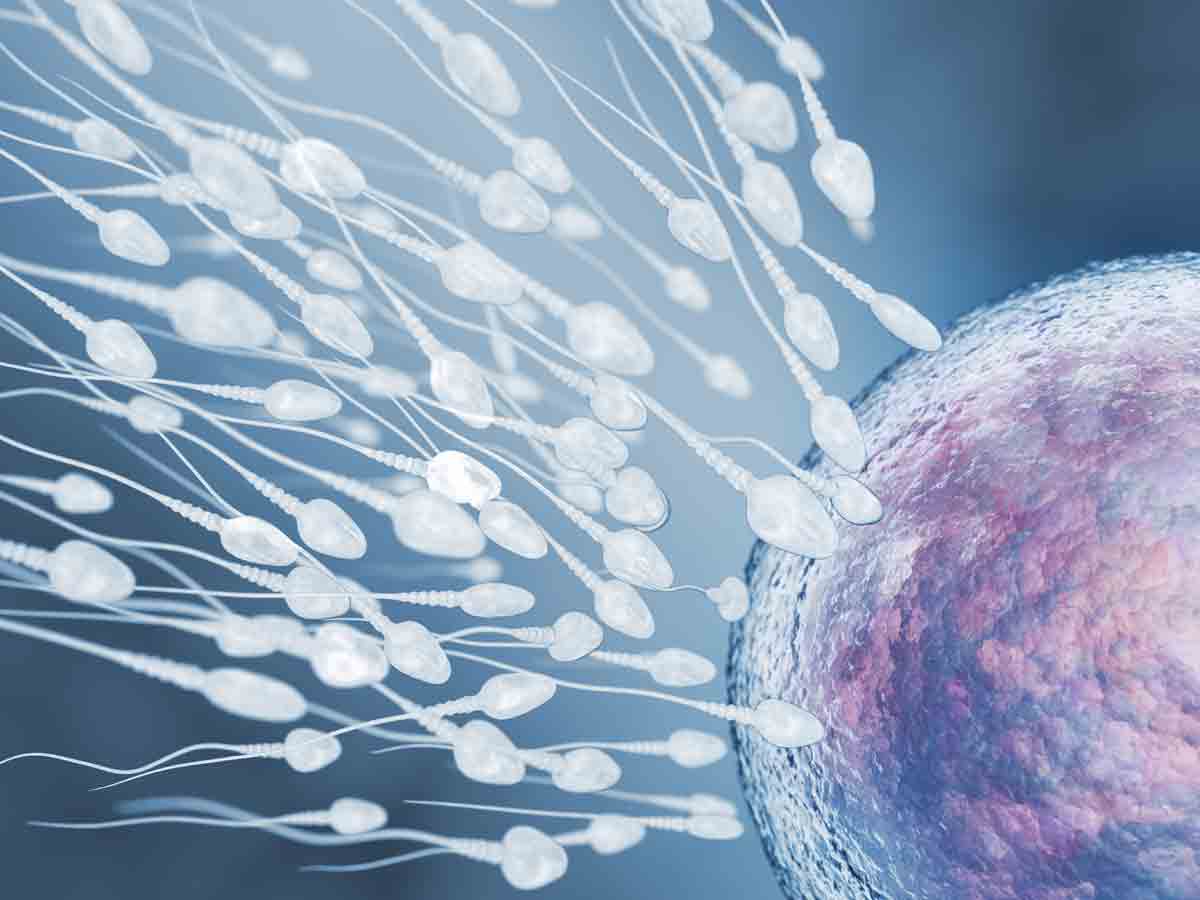 Health Tips | పిల్లలు పుట్టాలంటే స్పెర్మ్ కౌంట్ ఎంత‌ ఉండాలి? శుక్ర‌క‌ణాలు పెర‌గాలంటే ఇవి తినండి