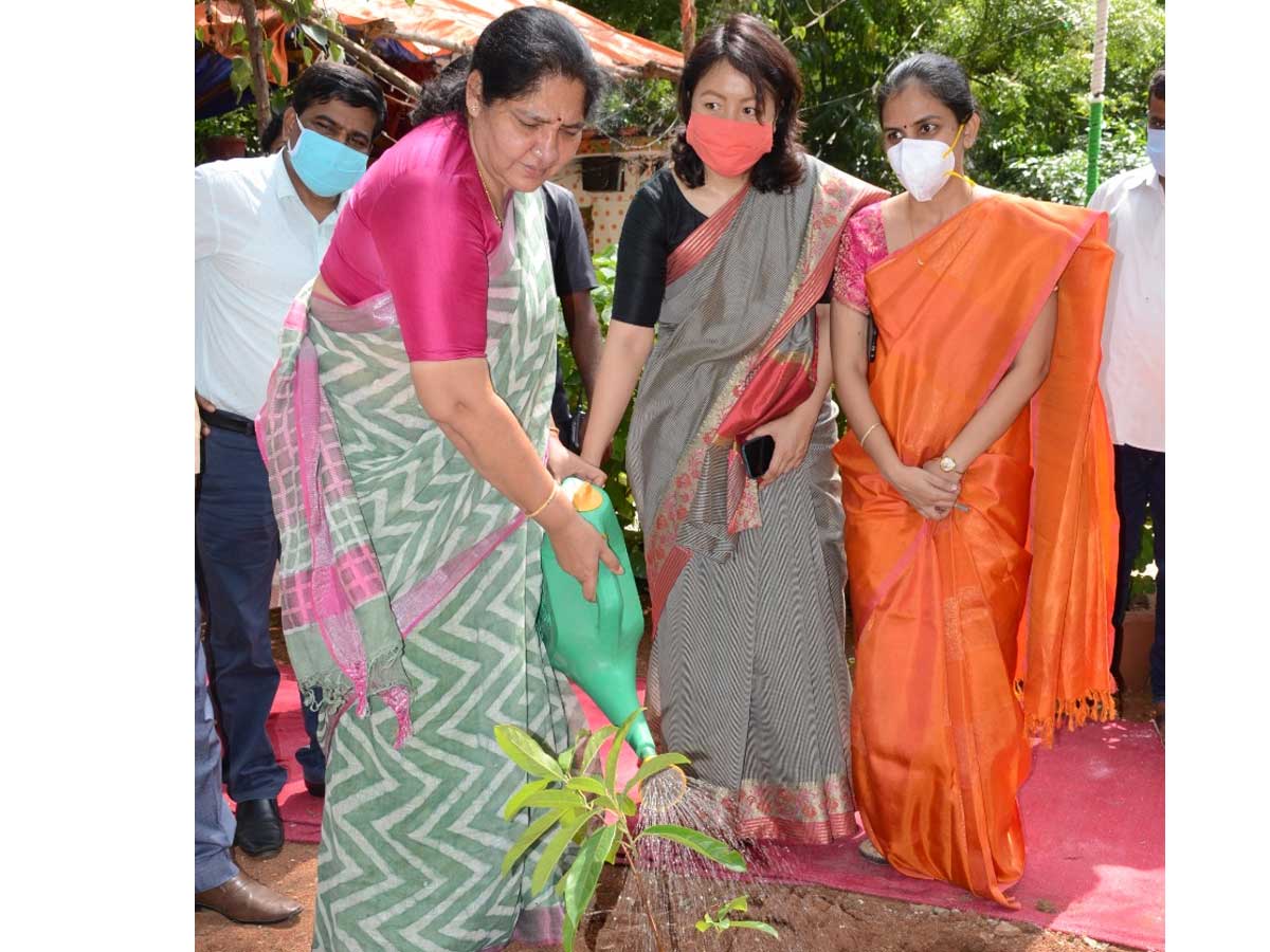 ఆదిమ గిరిజన తెగలకు పౌష్టికాహారం : మంత్రి సత్యవతి