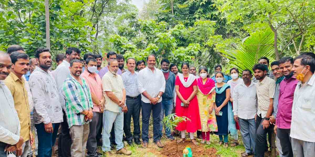 మొక్కలు నాటిన టి-సాట్ సీఈవో శైలేష్ రెడ్డి