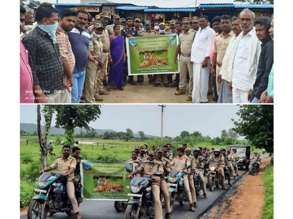 తెలంగాణలో ఘనంగా ప్రపంచ పులుల దినోత్సవం