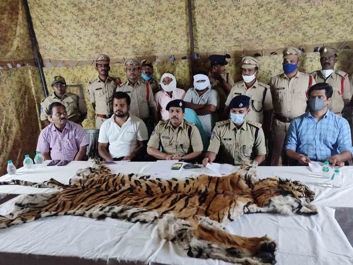 పులి చర్మం విక్రేతలు ఇద్దరు అరెస్టు