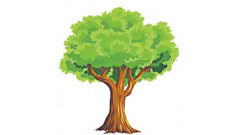 మొక్కవోని దీక్ష