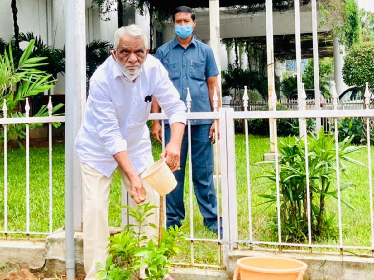 మొక్కలు నాటిన మాజీ ఎమ్మెల్సీ శ్రీనివాస్‌ రెడ్డి