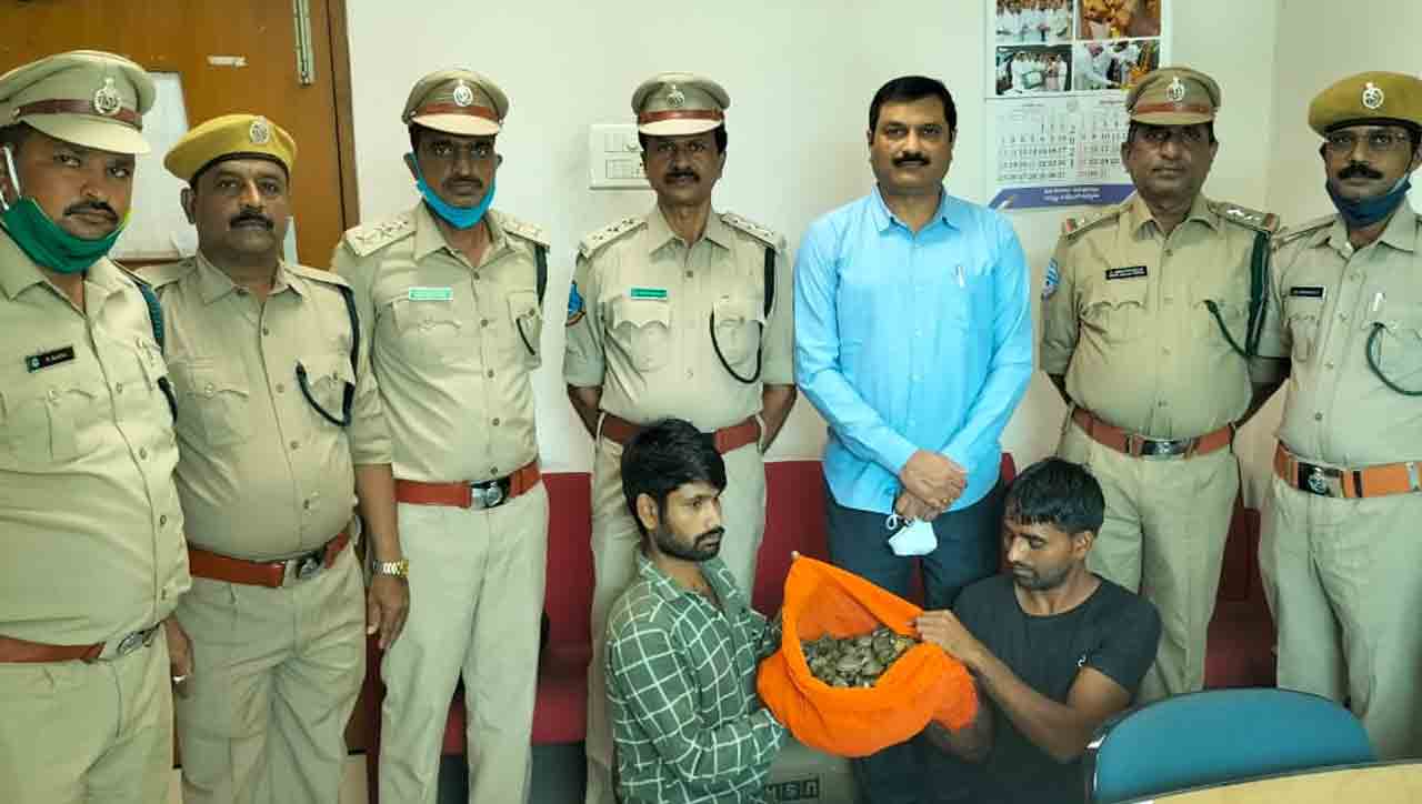 ఇండియ‌న్ టెంట్‌ తాబేళ్ల స్మ‌గ్లింగ్ ముఠా అరెస్టు