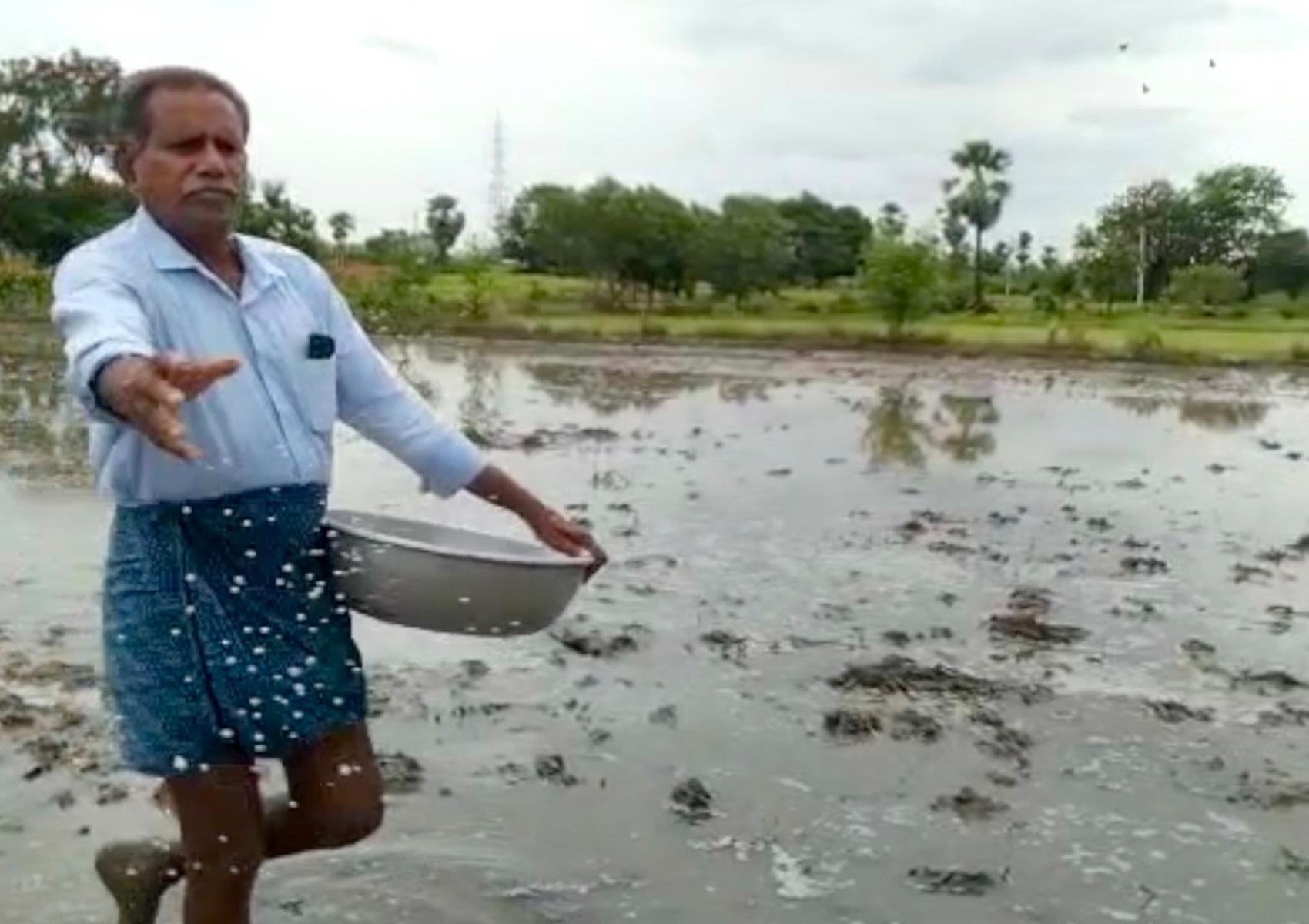 వెద‌జ‌ల్లే ప‌ద్ధ‌తితో దిగుబ‌డే దిగుబ‌డి..!!వీడియో