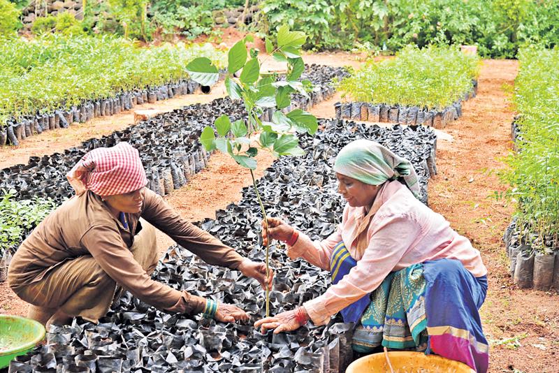మార్పు తెచ్చి.. మార్కు చూపుతాం..
