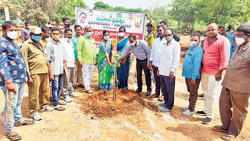 సంబురంగా పల్లె, పట్టణ ప్రగతి