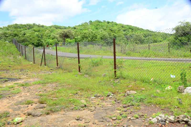 అటవీ సంరక్షణ కట్టుదిట్టంగా