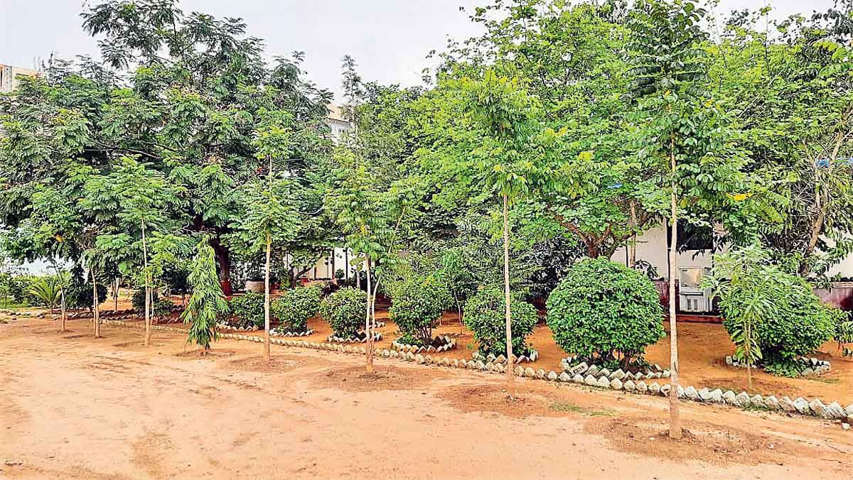 శాంతిభద్రతలే కాదు.. పర్యావరణాన్నీ పరిరక్షిస్తాం..