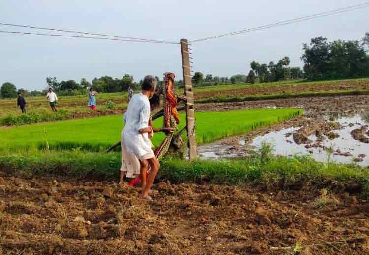 కాటేసిన కరంట్‌