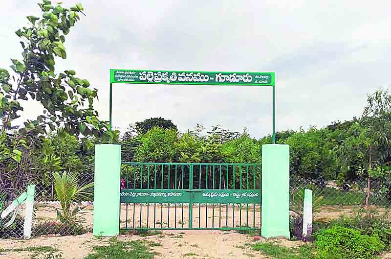 గూడూరు.. ప్రగతి జోరు..