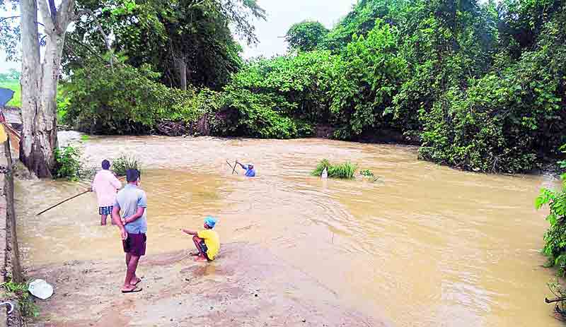 ముసురు కమ్మింది..