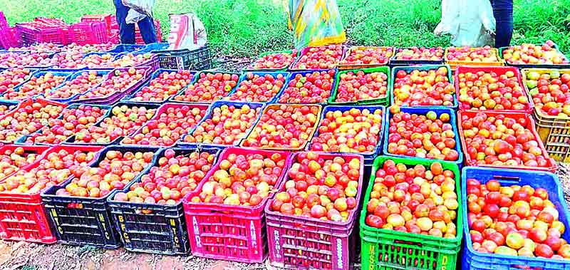 చింత తీరేలా.. చెంతనే కొనుగోళ్లు