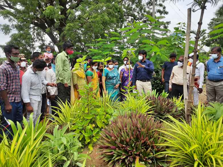 పల్లెప్రగతితో గ్రామాల్లో శుభ్రత