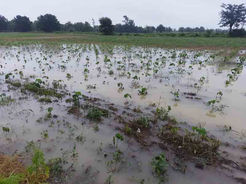 రాష్ట్రమంతా కుండపోత