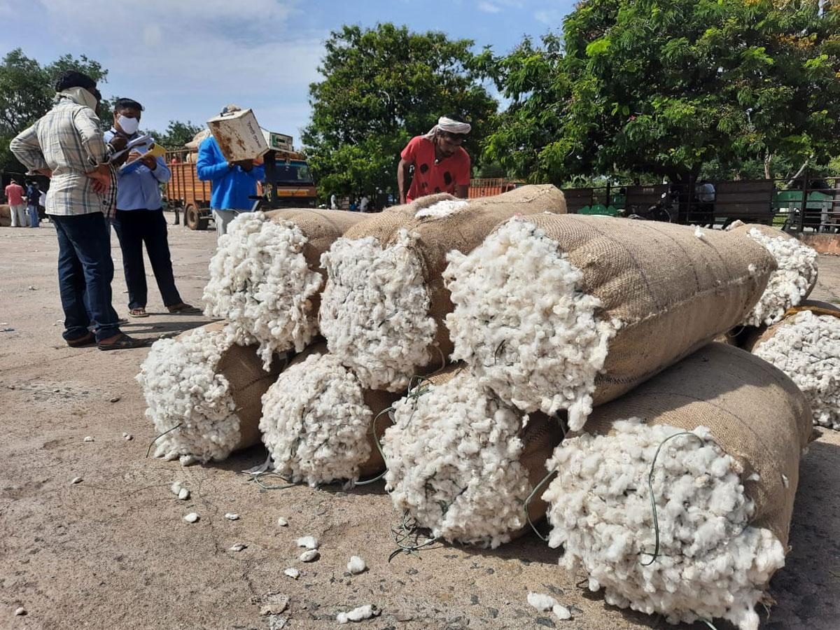ఎనుమాముల మార్కెట్‌లో రికార్డు స్థాయిలో పత్తి ధర