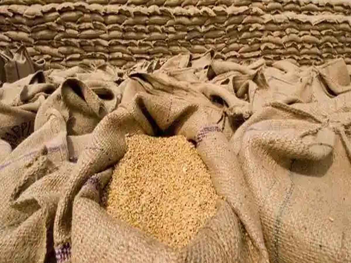 ప్రతి ఒక్కరూ ఇలా చేస్తే ఎలా? … గోధుమల ఎగుమతి నిలిపేసిన భారత్‌పై జీ 7 విమర్శ