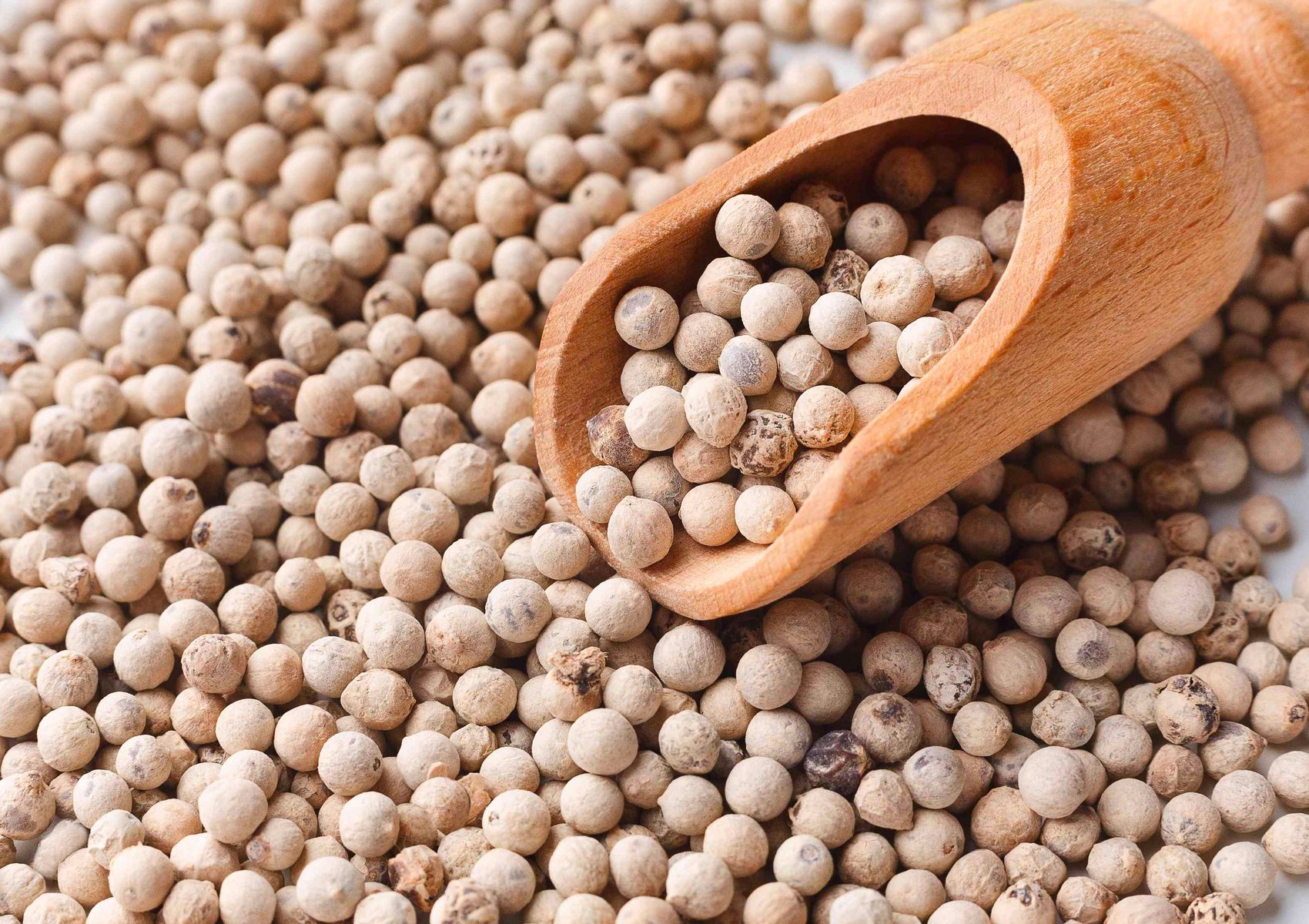 గుండె ఆరోగ్యం కోసం తెల్ల‌మిరియాలు ట్రై చేయండి.. వీడియో