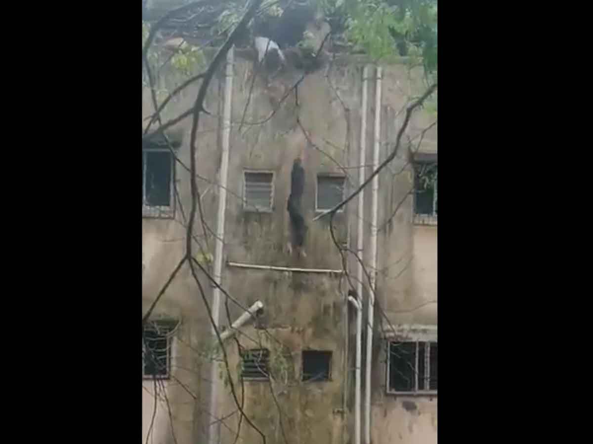 వీడియో: పట్టుకోల్పోయిన  రెస్క్యూ సిబ్బంది.. వరద నీటిలో పడిన మహిళ